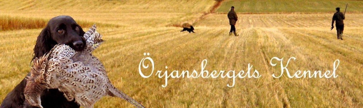 Örjansbergets Kennel